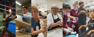 Image of different programs here at EFSC like Vet Tech, cooking, dentistry, cosmetics