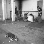Black and white image of dog sleeping on street and people talking in a circle together
