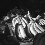 Black and white image of bananas